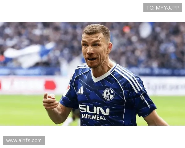 沙尔克旧将建议哲科续约助德甲